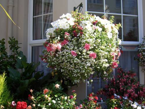 Loriston Guest House Eastbourne Kültér fotó